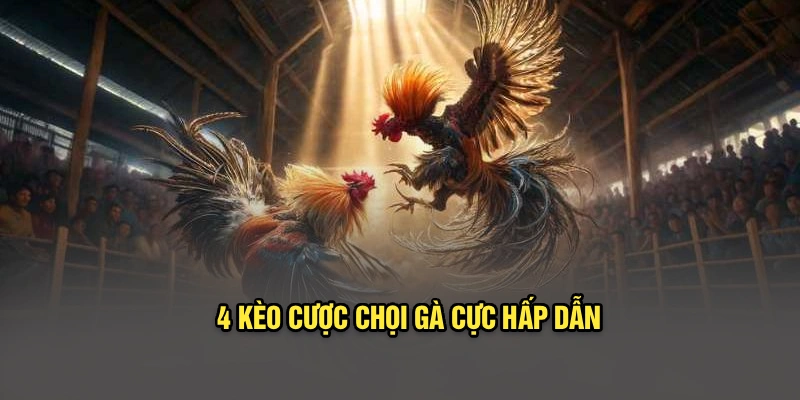 4 kèo cược chọi gà cực hấp dẫn