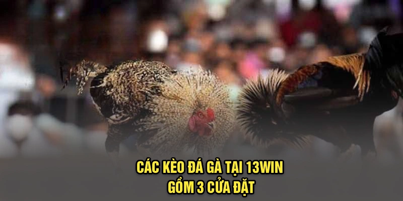 Các kèo đá gà tại 13Win gồm 3 cửa đặt