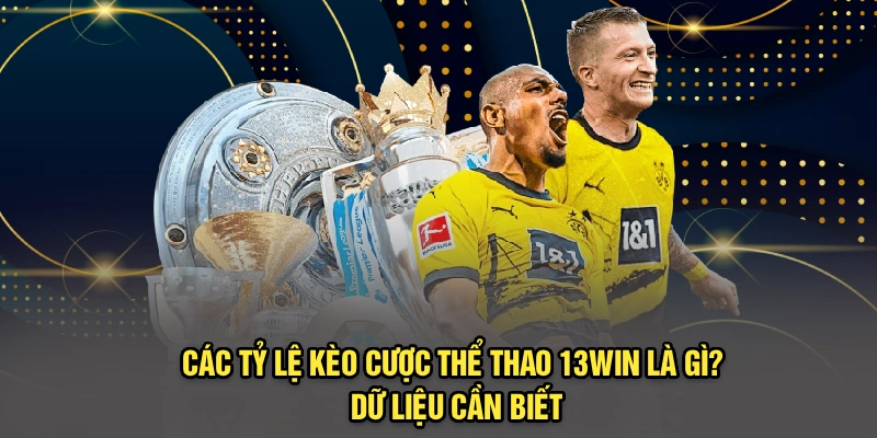 Các Tỷ Lệ Kèo Cược Thể Thao 13Win Là Gì? Dữ Liệu Cần Biết