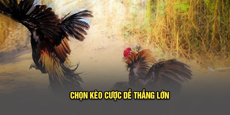 Chọn kèo cược dễ thắng lớn