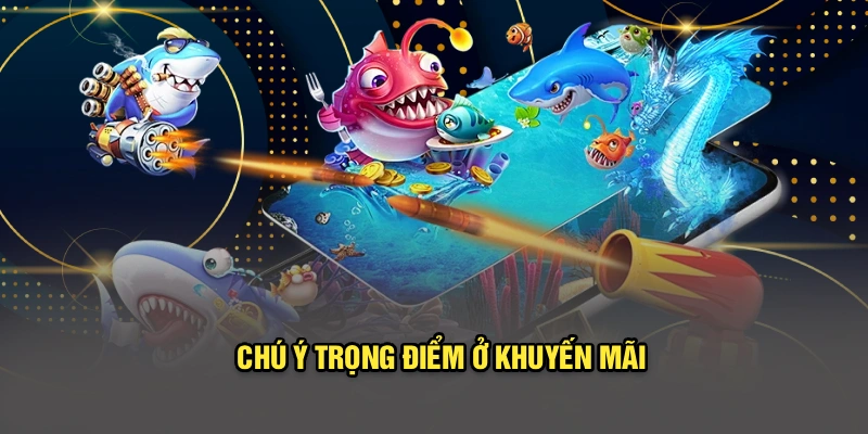 Chú ý trọng điểm ở khuyến mãi