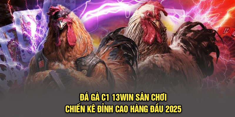 Đá Gà C1 13Win | Sân Chơi Chiến Kê Đỉnh Cao Hàng Đầu 2025