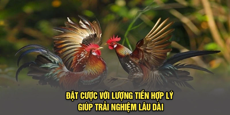 Đặt cược với lượng tiền hợp lý giúp trải nghiệm lâu dài