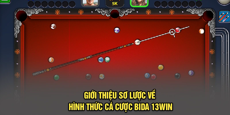 Giới thiệu sơ lược về hình thức cá cược bida 13Win