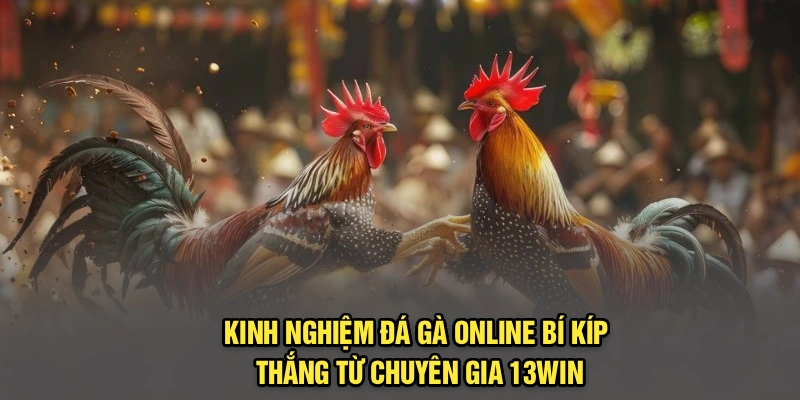 Kinh Nghiệm Đá Gà Online | Bí Kíp Thắng Từ Chuyên Gia 13Win
