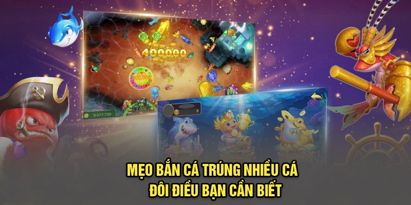 Mẹo bắn cá trúng nhiều cá - Đôi điều bạn cần biết