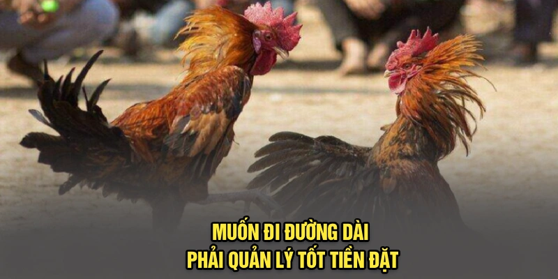 Muốn đi đường dài phải quản lý tốt tiền đặt