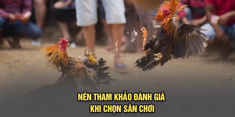 Nên tham khảo đánh giá khi chọn sân chơi