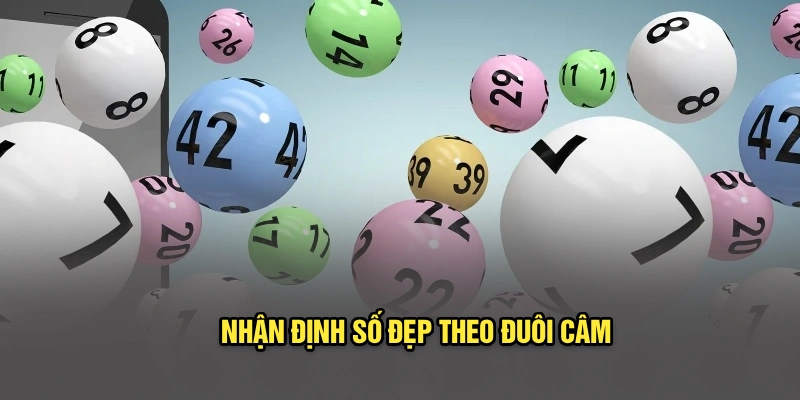 Nhận định số đẹp theo đuôi câm