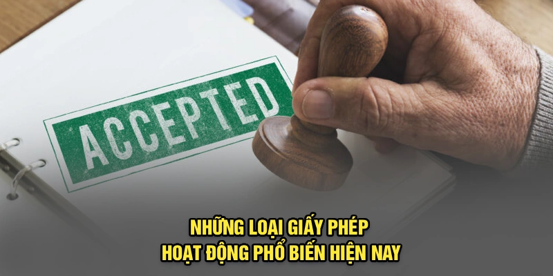 Những loại giấy phép hoạt động phổ biến hiện nay